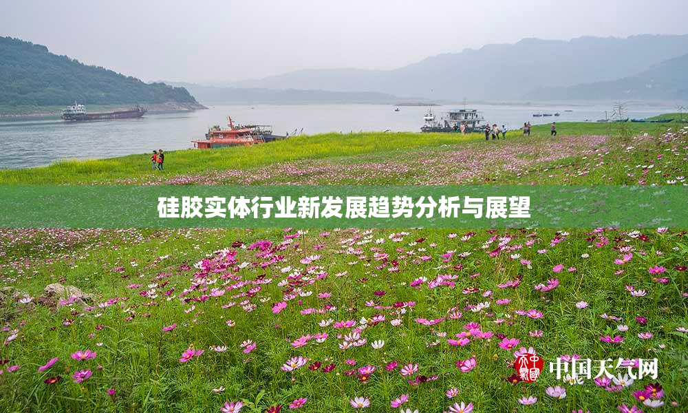 硅胶实体行业新发展趋势分析与展望
