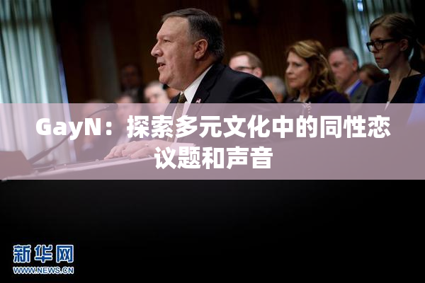 GayN：探索多元文化中的同性恋议题和声音