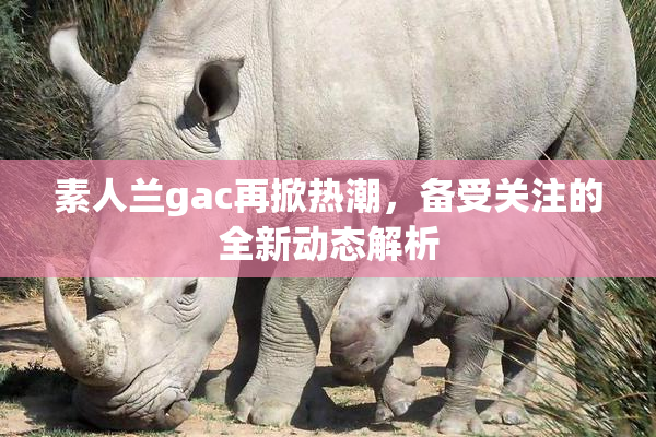 素人兰gac再掀热潮，备受关注的全新动态解析