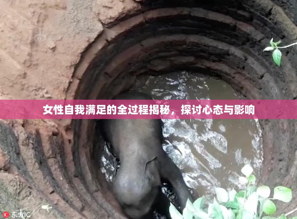 女性自我满足的全过程揭秘，探讨心态与影响