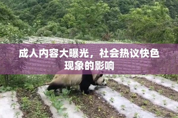 成人内容大曝光，社会热议快色现象的影响