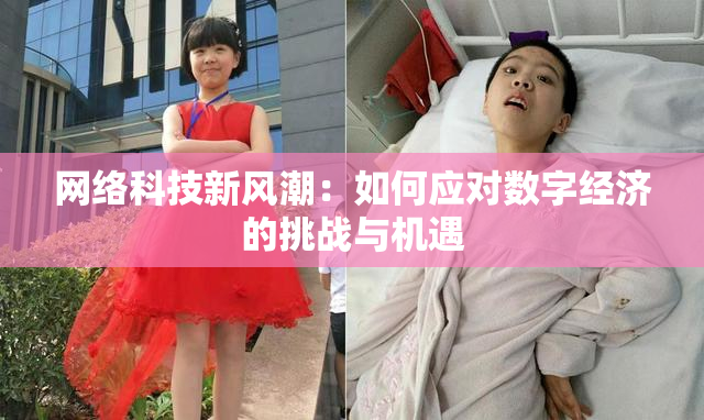 网络科技新风潮：如何应对数字经济的挑战与机遇