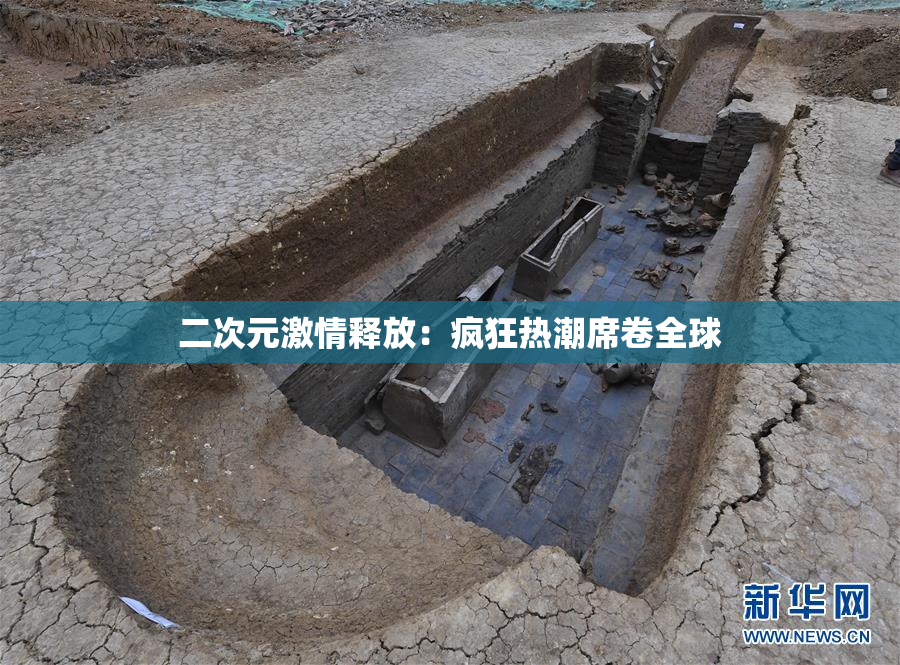二次元激情释放：疯狂热潮席卷全球