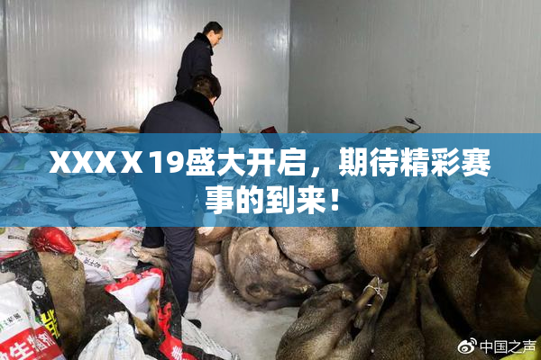 XXXⅩ19盛大开启，期待精彩赛事的到来！