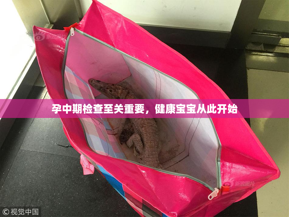 孕中期检查至关重要，健康宝宝从此开始