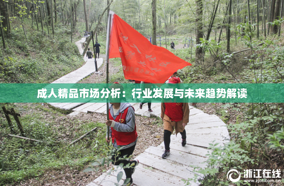 成人精品市场分析：行业发展与未来趋势解读