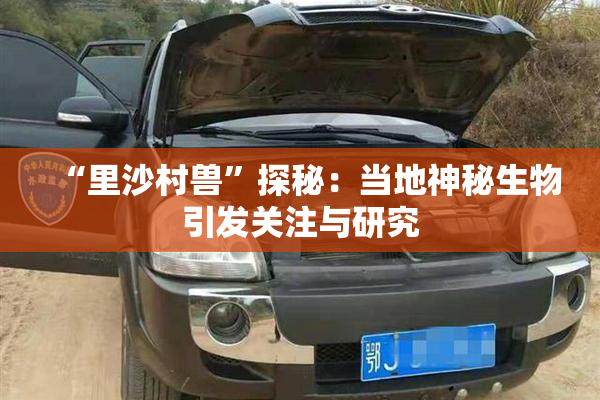 “里沙村兽”探秘：当地神秘生物引发关注与研究
