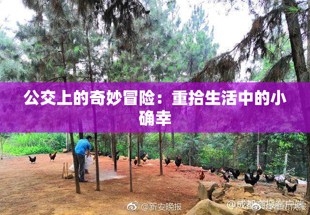 公交上的奇妙冒险：重拾生活中的小确幸