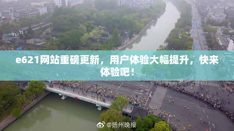 e621网站重磅更新，用户体验大幅提升，快来体验吧！