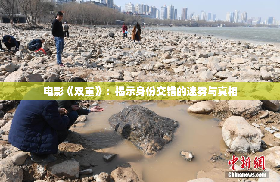 电影《双重》：揭示身份交错的迷雾与真相