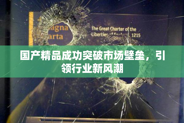 国产精品成功突破市场壁垒，引领行业新风潮