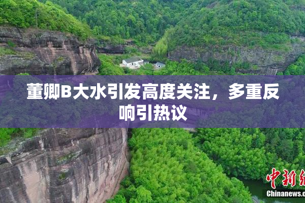 董卿B大水引发高度关注，多重反响引热议