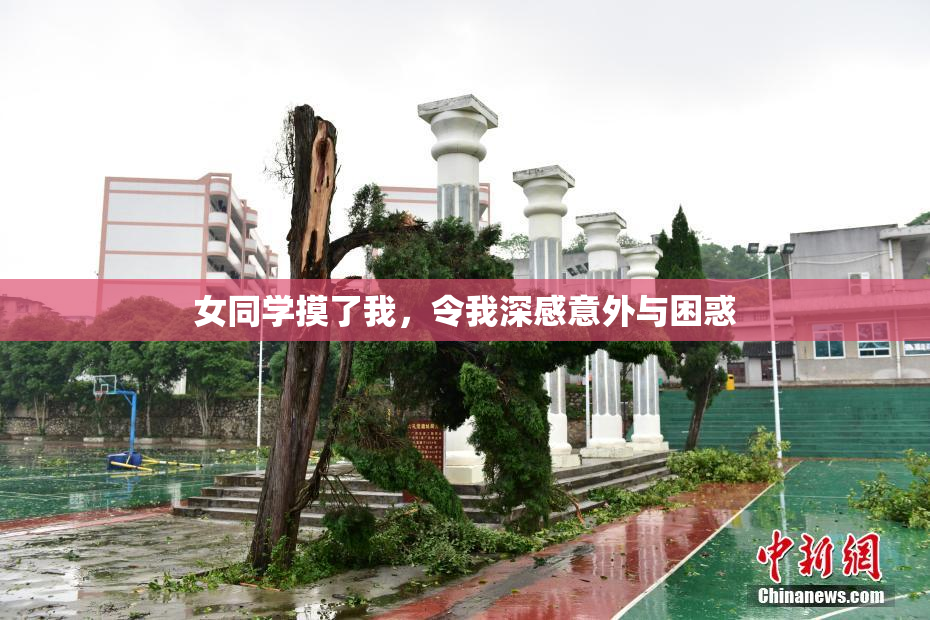 女同学摸了我，令我深感意外与困惑