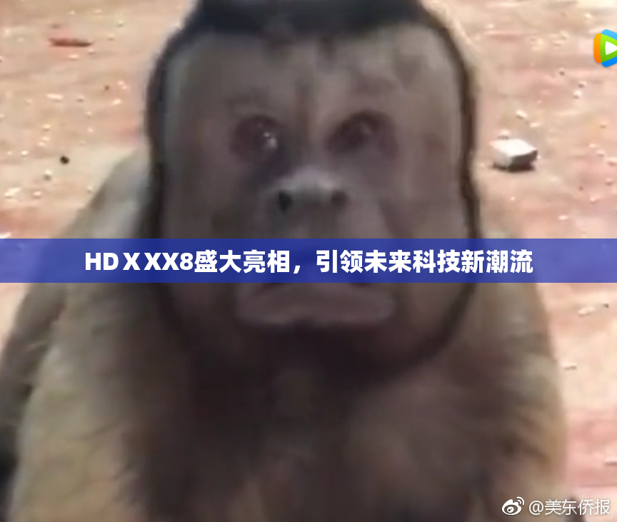 HDⅩXX8盛大亮相，引领未来科技新潮流