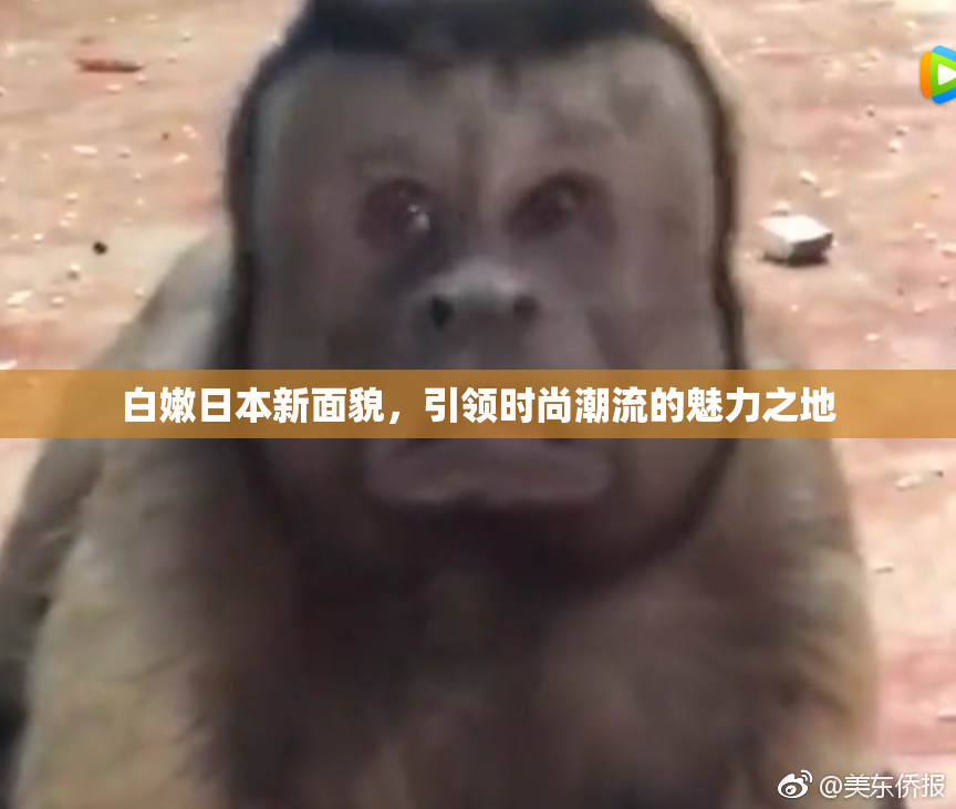 白嫩日本新面貌，引领时尚潮流的魅力之地