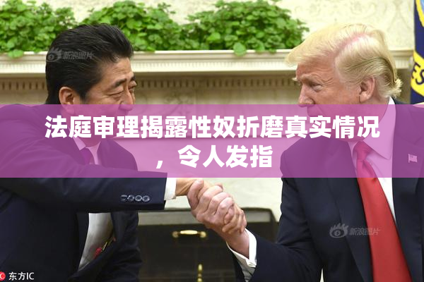 法庭审理揭露性奴折磨真实情况，令人发指