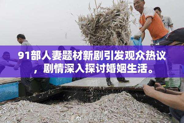 91部人妻题材新剧引发观众热议，剧情深入探讨婚姻生活。