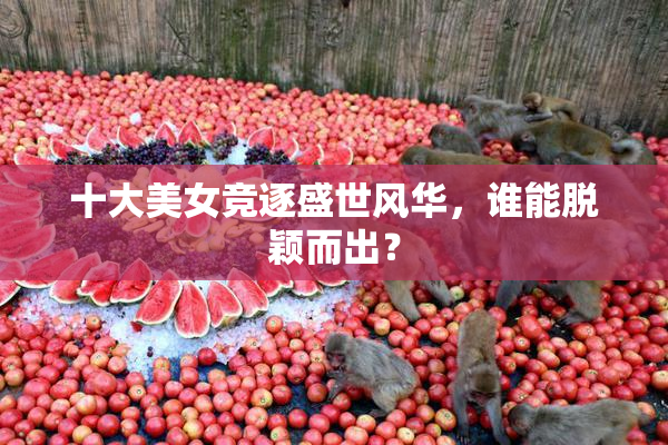 十大美女竞逐盛世风华，谁能脱颖而出？