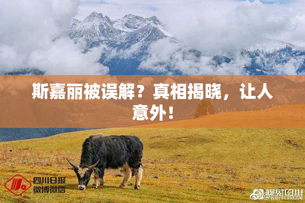斯嘉丽被误解？真相揭晓，让人意外！