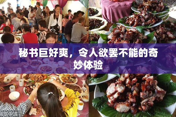 秘书巨好爽，令人欲罢不能的奇妙体验