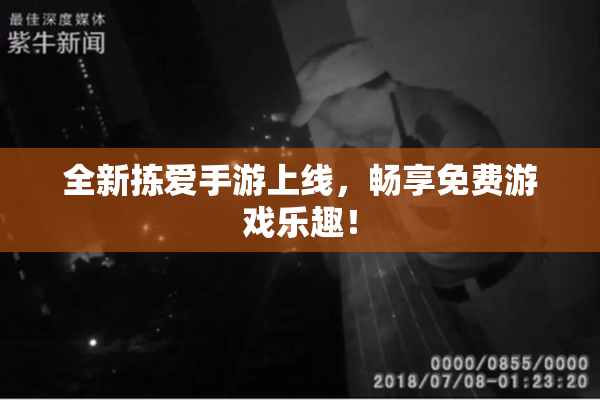 全新拣爱手游上线，畅享免费游戏乐趣！