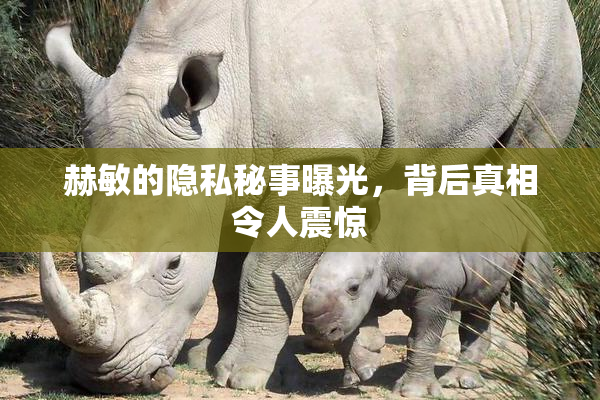 赫敏的隐私秘事曝光，背后真相令人震惊