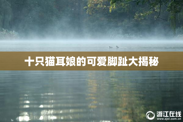十只猫耳娘的可爱脚趾大揭秘