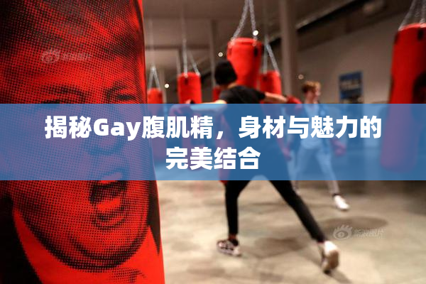 揭秘Gay腹肌精，身材与魅力的完美结合