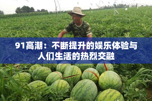 91高潮：不断提升的娱乐体验与人们生活的热烈交融