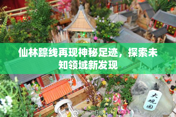 仙林踪线再现神秘足迹，探索未知领域新发现