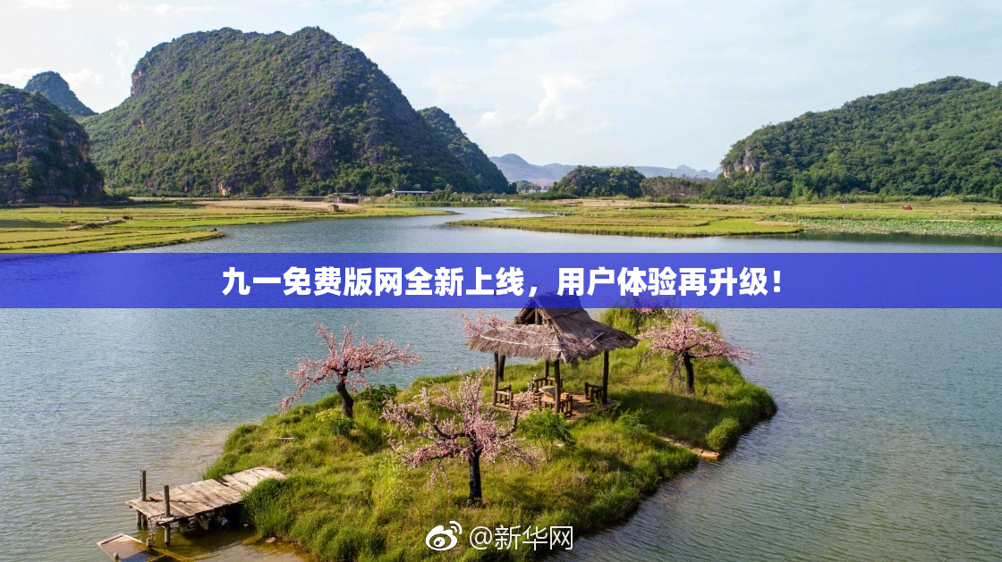 九一免费版网全新上线，用户体验再升级！