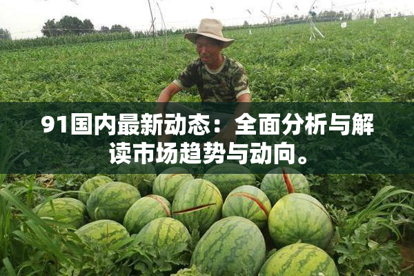91国内最新动态：全面分析与解读市场趋势与动向。