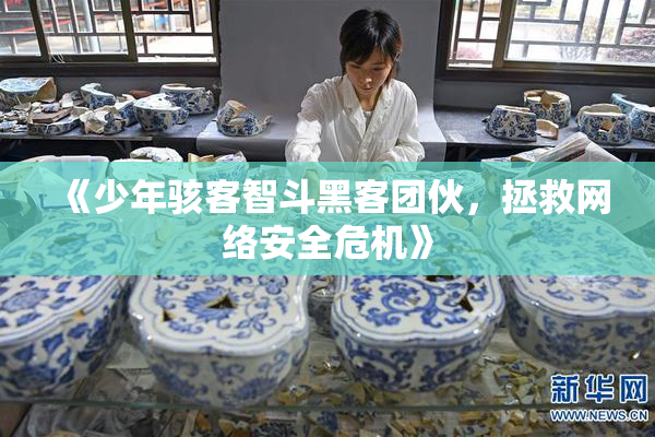 《少年骇客智斗黑客团伙，拯救网络安全危机》