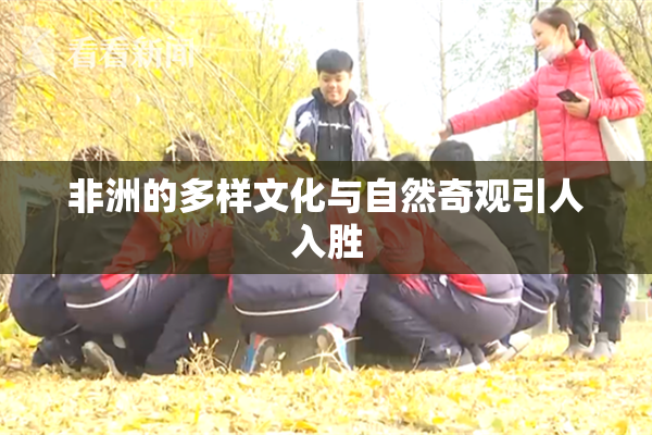 非洲的多样文化与自然奇观引人入胜