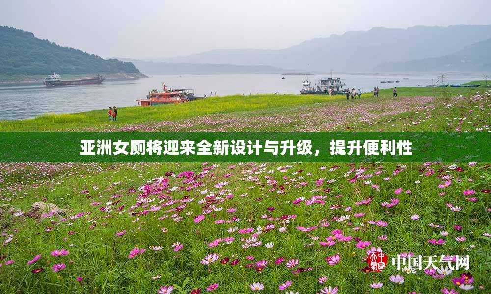 亚洲女厕将迎来全新设计与升级，提升便利性
