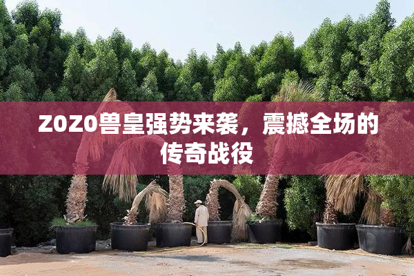 Z0Z0兽皇强势来袭，震撼全场的传奇战役