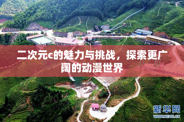 二次元c的魅力与挑战，探索更广阔的动漫世界