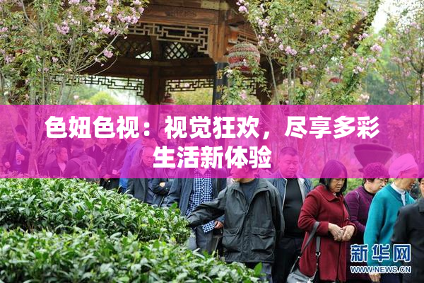色妞色视：视觉狂欢，尽享多彩生活新体验