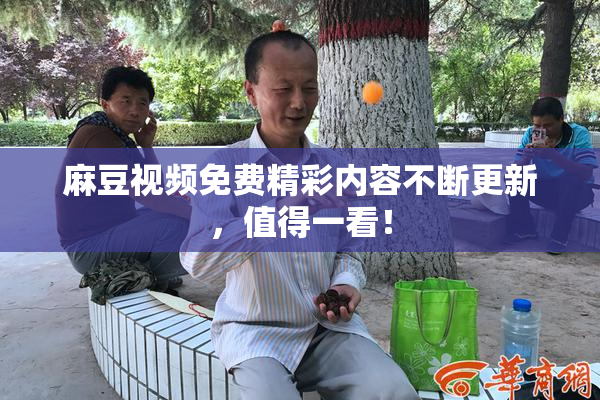 麻豆视频免费精彩内容不断更新，值得一看！