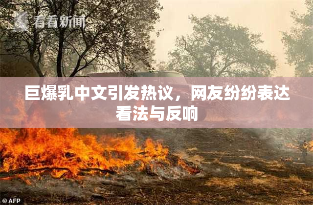 巨爆乳中文引发热议，网友纷纷表达看法与反响