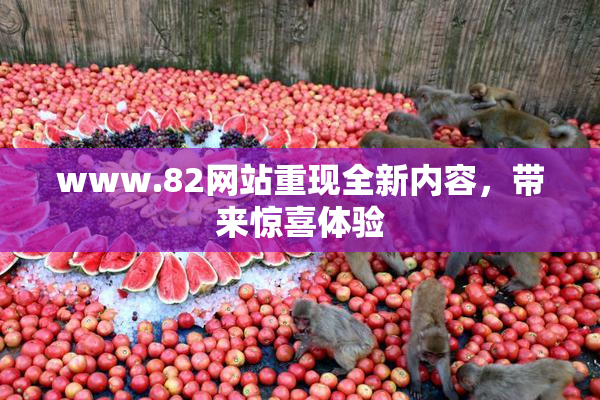 www.82网站重现全新内容，带来惊喜体验