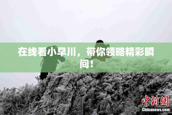 在线看小早川，带你领略精彩瞬间！