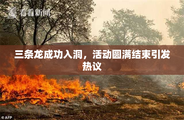 三条龙成功入洞，活动圆满结束引发热议