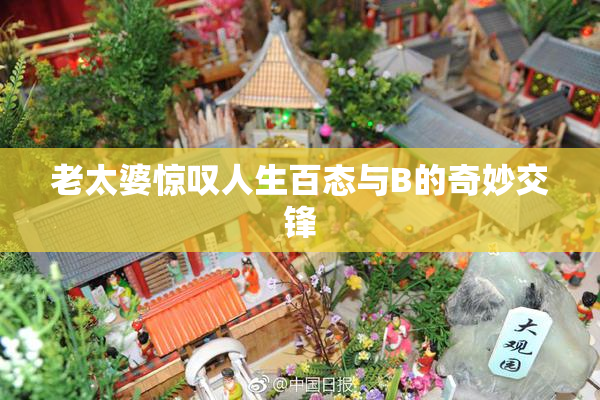 老太婆惊叹人生百态与B的奇妙交锋