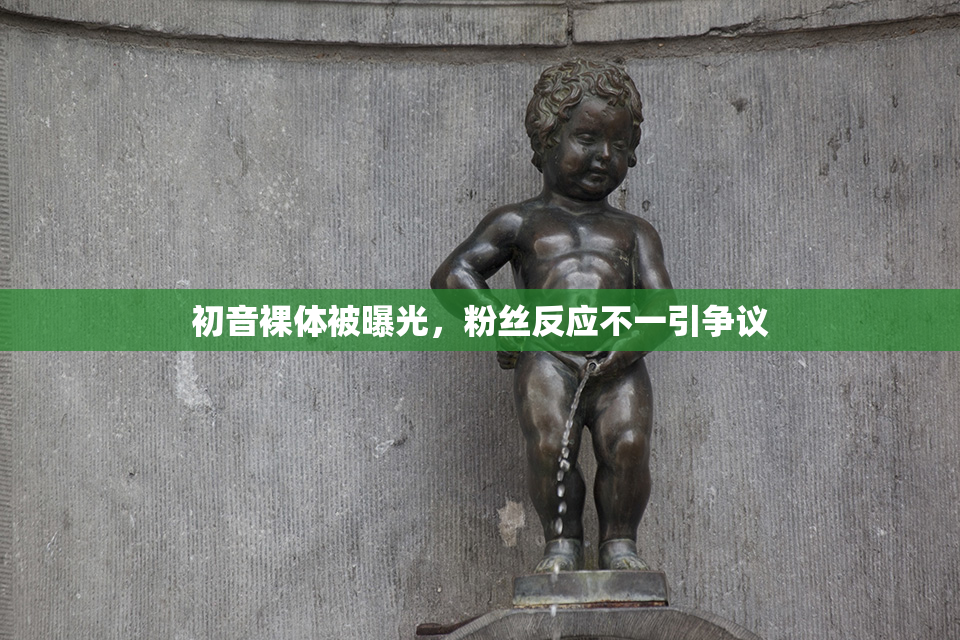 初音裸体被曝光，粉丝反应不一引争议
