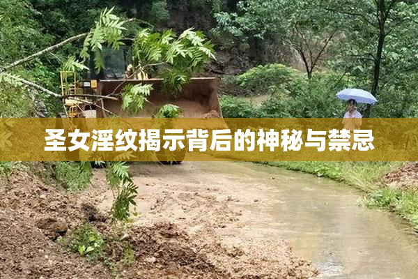 圣女淫纹揭示背后的神秘与禁忌