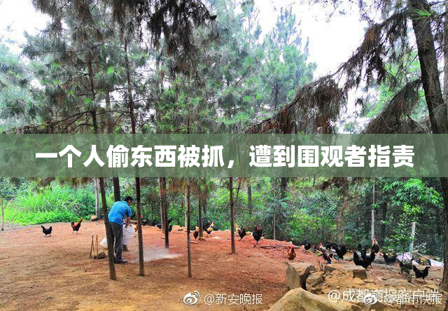 一个人偷东西被抓，遭到围观者指责