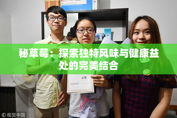 秘草莓：探索独特风味与健康益处的完美结合