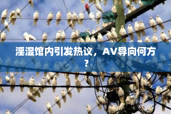 淫湿馆内引发热议，AV导向何方？