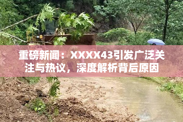 重磅新闻：XXXX43引发广泛关注与热议，深度解析背后原因
